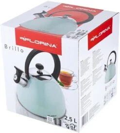 Florina Brillo Fluitketel 2,5L Voor Alle Warmtebronnen - Waterketel - Mint Groen -Le Creuset Winkel 1086x1200 1