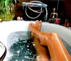 1000g Shungiet Shungite Stenen Voor Water En Ontstoring 8 1000g Shungiet Shungite Stenen Voor Water En Ontstoring -Le Creuset Winkel 1200x1029