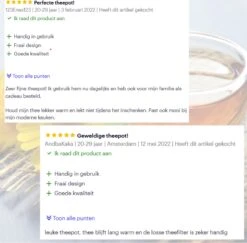 Tolussa Premium Theepot Glas Met Filter - 1.25L - Zwart - Isolerend - Lekt Niet -Le Creuset Winkel 1200x1179 3