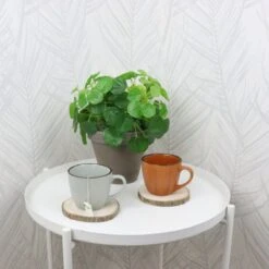 OTIX Koffiekopjes - Met Oor - Set Van 4 - Verschillende Kleuren - Aardewerk - 250 Ml -Le Creuset Winkel 1200x1200 1296