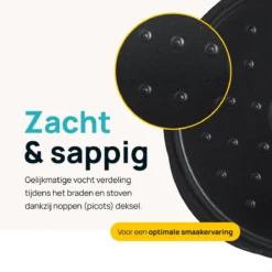 MOA Gietijzeren Braadpan - Inhoud 7,1 Liter - 29CM - Rond - Alle Warmtebronnen - Ook Voor Inductie - Gewicht 7,6 Kg - Zwart - MC29B -Le Creuset Winkel 1200x1200 602