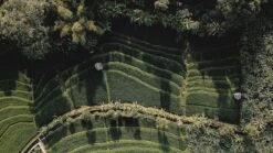 Sola Bestekset Bali - Modern - 9 Persoons - 90 Delig - Zilverwit Edelstaal 18/10 - RVS - Zilver -Le Creuset Winkel 1200x675 27