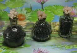 1000g Shungiet Shungite Stenen Voor Water En Ontstoring 9 1000g Shungiet Shungite Stenen Voor Water En Ontstoring -Le Creuset Winkel 1200x832 1