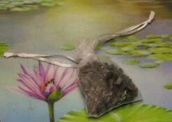 1000g Shungiet Shungite Stenen Voor Water En Ontstoring 10 1000g Shungiet Shungite Stenen Voor Water En Ontstoring -Le Creuset Winkel 1200x853 4