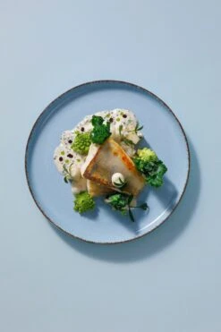 Palmer Serviesset Antigo Porselein 6-persoons 24-delig Lichtblauw -Le Creuset Winkel 800x1200 35