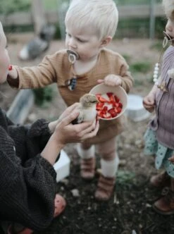 Siliconen Kommen - Mushie - Vanille - Set 2 -Le Creuset Winkel 894x1200 4